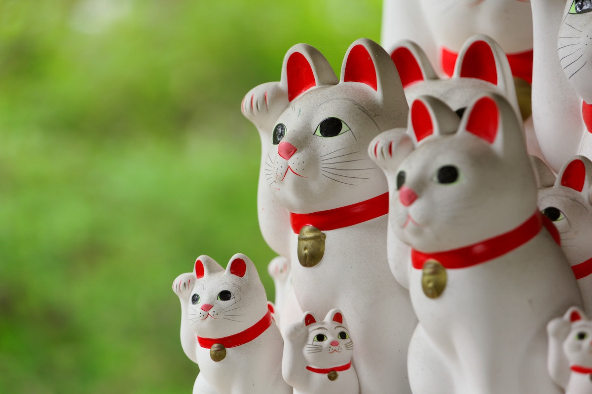 maneki neko statues at gotokuji temple