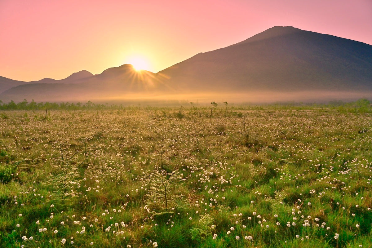 senjogahara plateau sunset