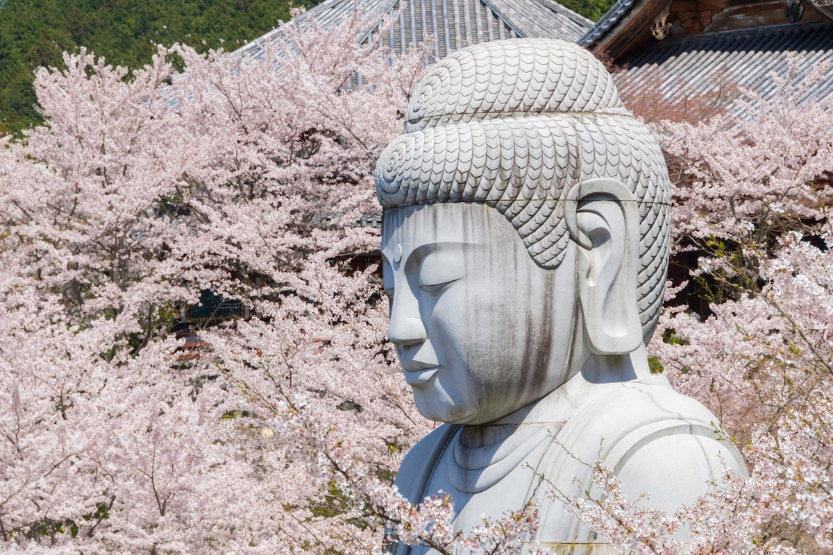 Strangely Specific Shrines and Temples for Medical Problems: Part 4