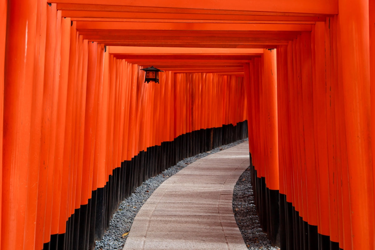 red torii gates at fushimi inari taisha