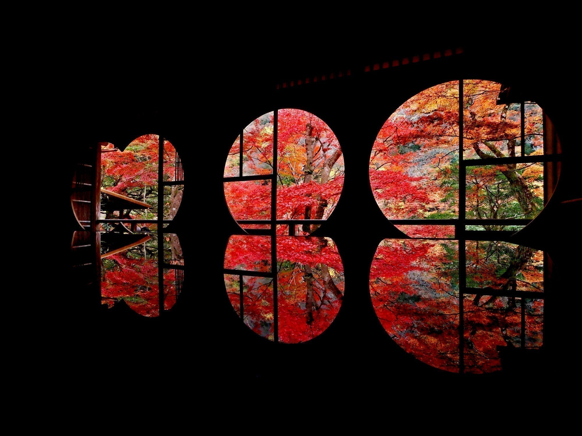 arashiyama yusai-tei fall colors kyoto