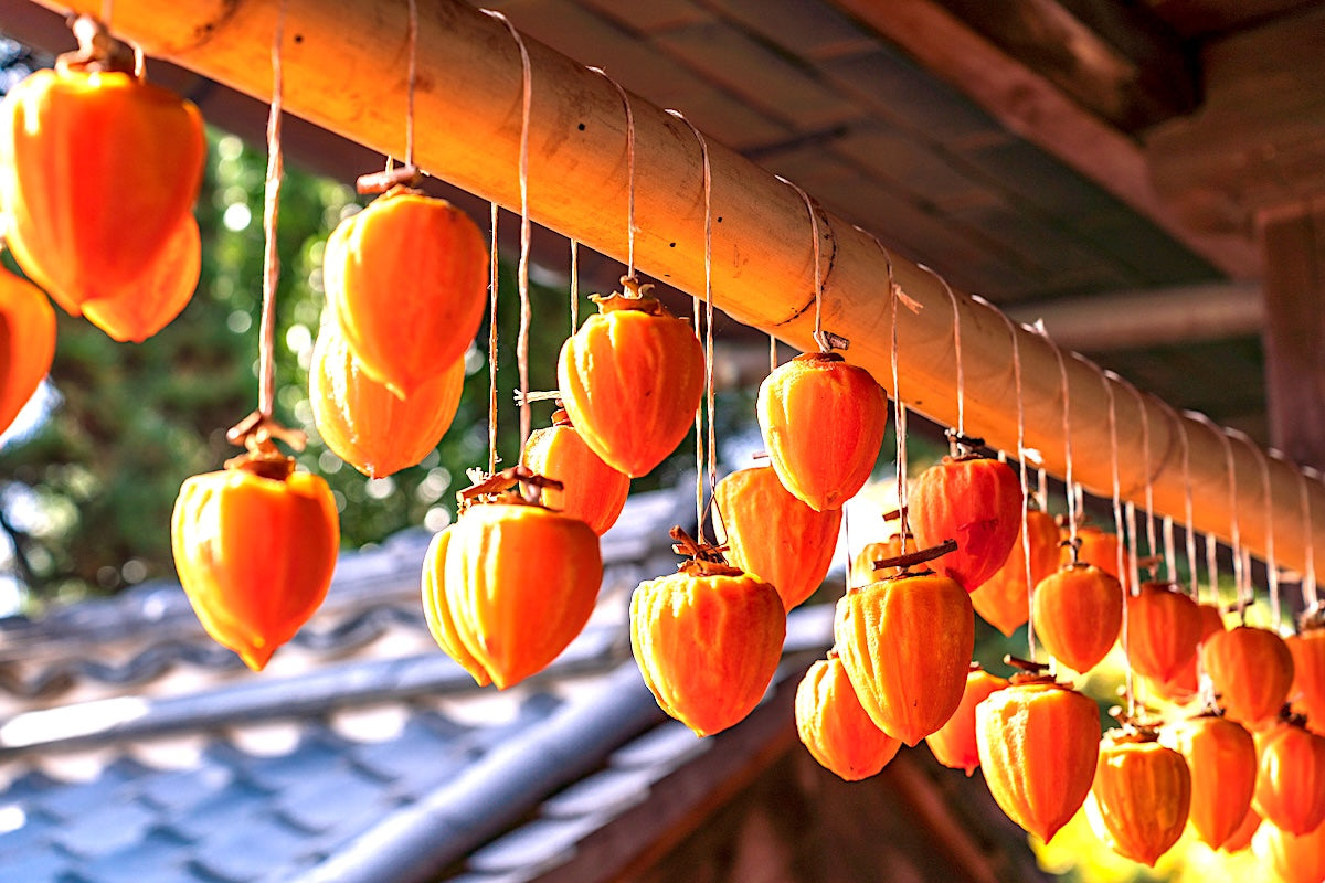 drying persimmons japan