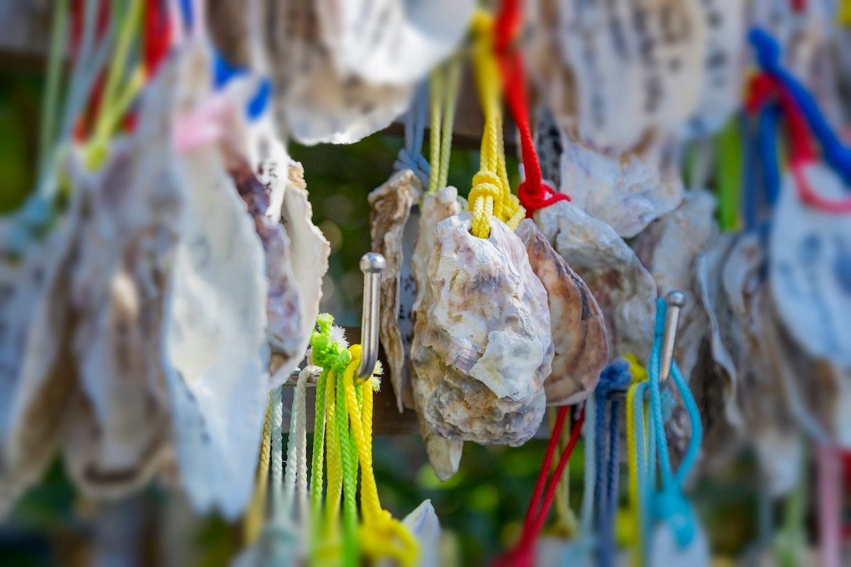 Fish Stories: Shrines and Temples for Sea Creatures, Part 1